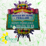 Bunga Papan Congratulation Pemalang EPMC-003